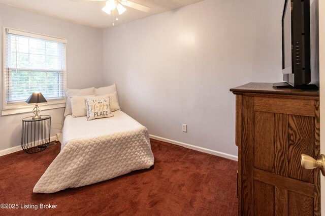 1123 Girard Dr, Louisville, KY 40222 - photo 25