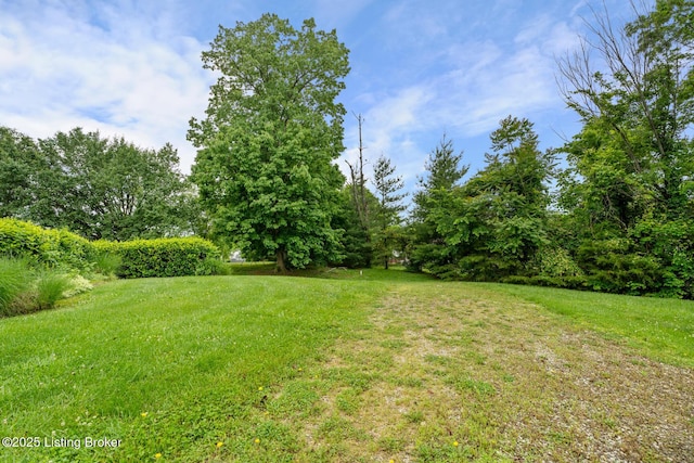 966 Lawrence St, Brandenburg, KY 40108 - view of green lawn