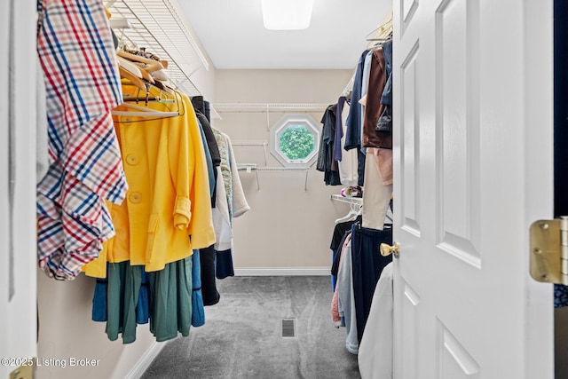 966 Lawrence St, Brandenburg, KY 40108 - spacious closet with carpet flooring