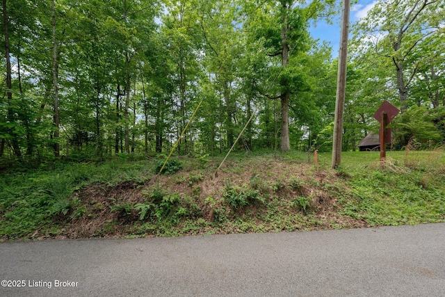 107 E Forest Dr, Leitchfield, KY 42754