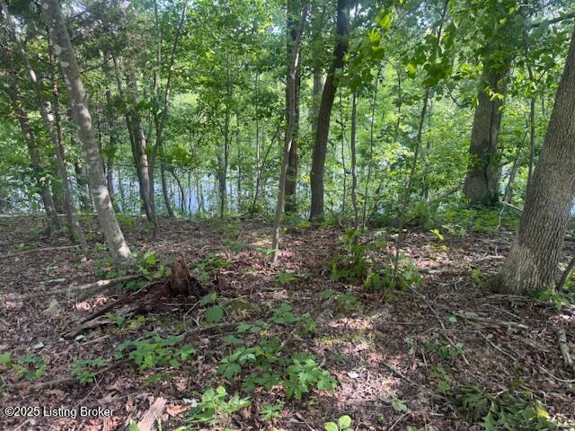 107 E Forest Dr, Leitchfield, KY 42754