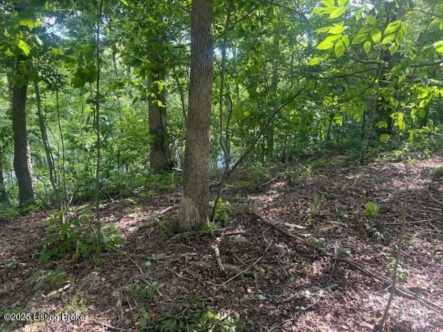 107 E Forest Dr, Leitchfield, KY 42754