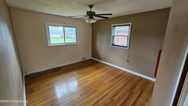 2305 Burrell Dr, Louisville, KY 40216 - photo 21