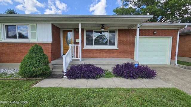2305 Burrell Dr, Louisville, KY 40216 - photo 6