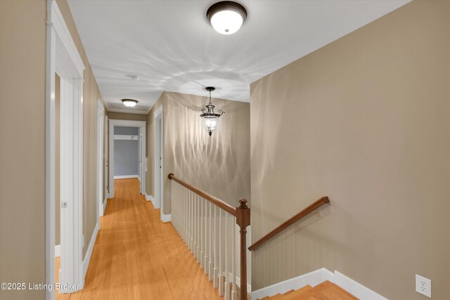 3010 Beals Branch Dr, Louisville, KY 40206 - photo 28