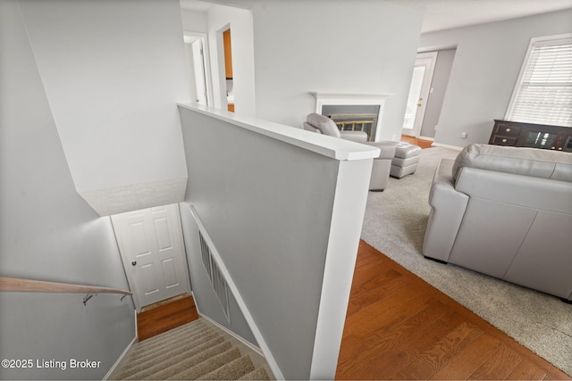 1212 Inverary Ct, Louisville, KY 40222 - photo 28