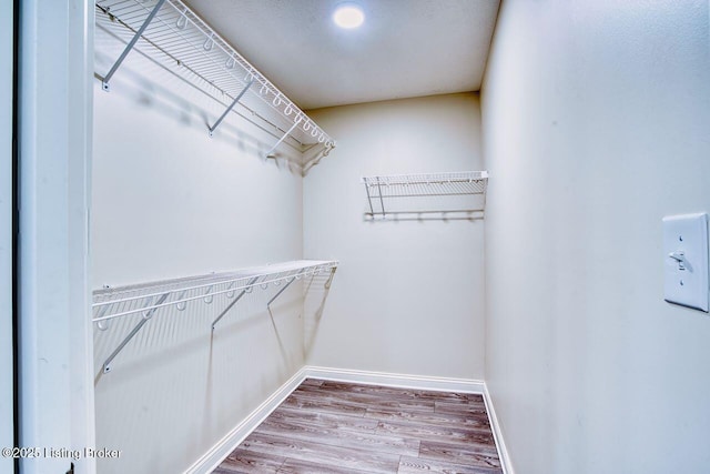 305 Valhalla Trce, Vine Grove, KY 40175 - spacious closet with wood finished floors