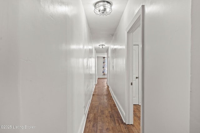 823 S Jackson St, Louisville, KY 40203 - corridor with wood finished floors and baseboards