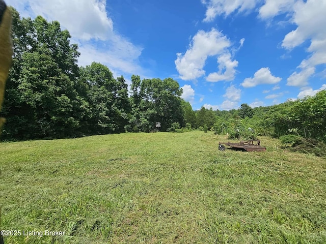 0 Blain Cannon Rd, Falls Of Rough, KY 40119
