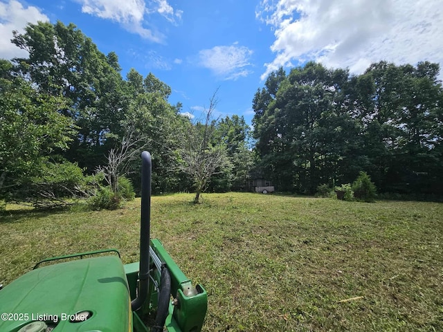 0 Blain Cannon Rd, Falls Of Rough, KY 40119