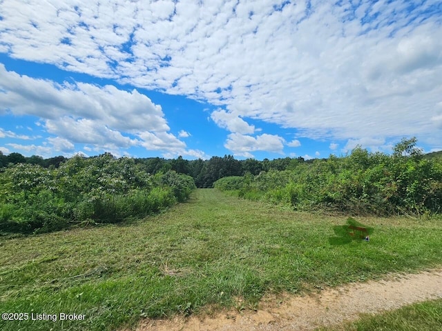 0 Blain Cannon Rd, Falls Of Rough, KY 40119