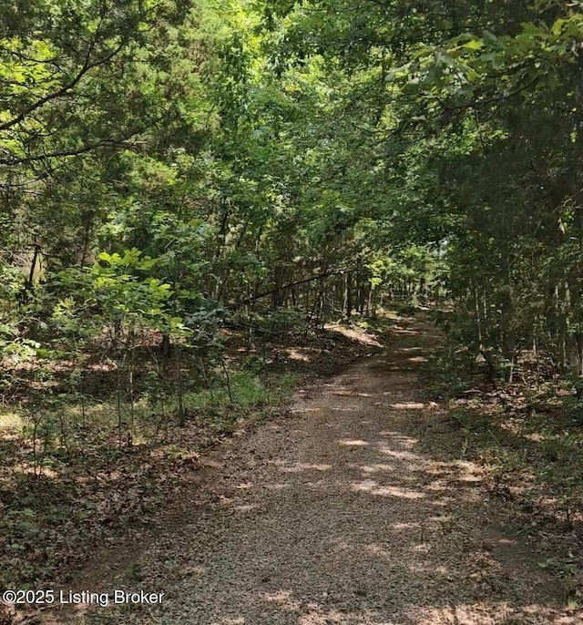 0 Blain Cannon Rd, Falls Of Rough, KY 40119