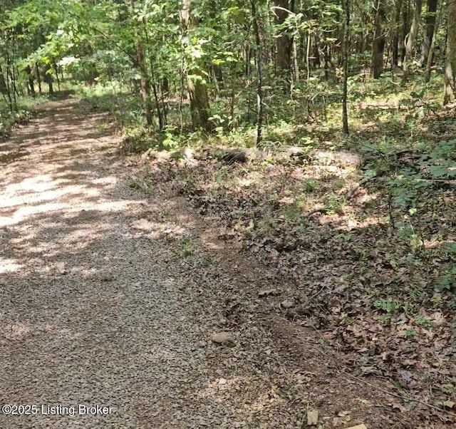 0 Blain Cannon Rd, Falls Of Rough, KY 40119