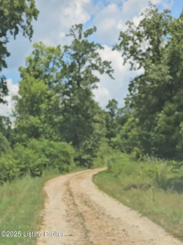 0 Blain Cannon Rd, Falls Of Rough, KY 40119
