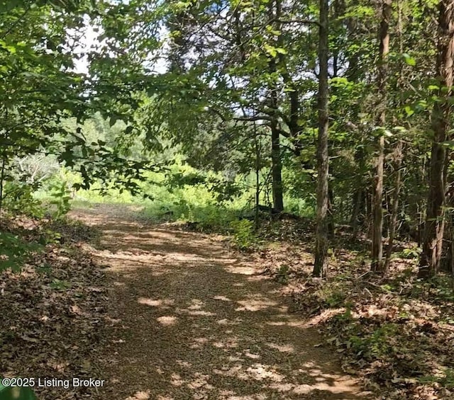 0 Blain Cannon Rd, Falls Of Rough, KY 40119