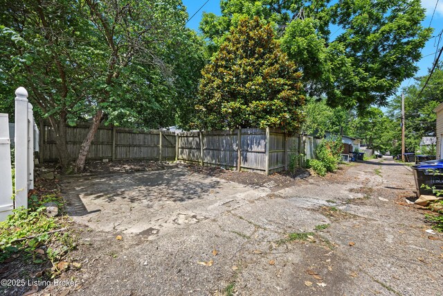 1129 Ash St, Louisville, KY 40217 - photo 44