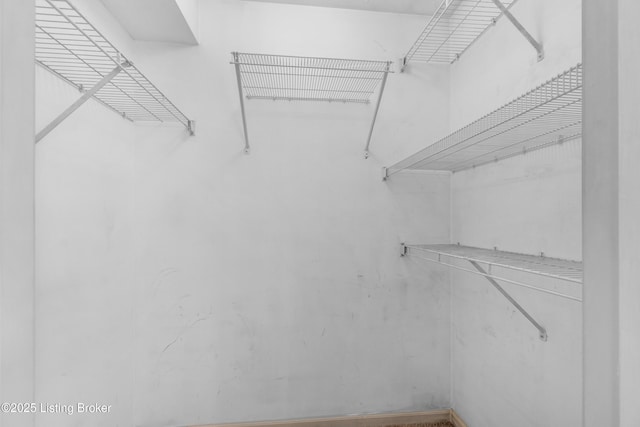 2603 Callery Pl Unit 301, Louisville, KY 40299 - view of spacious closet