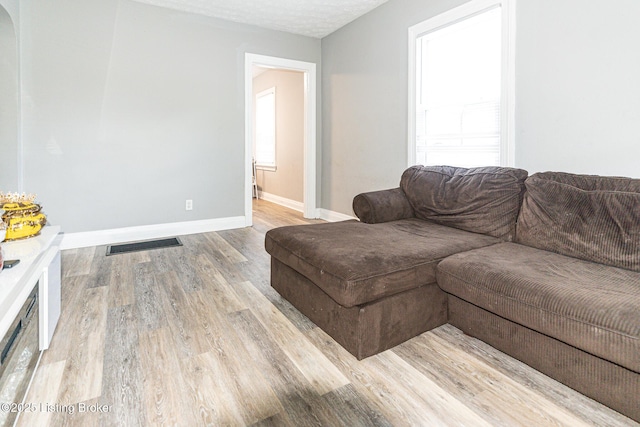 1225 Bicknell Ave, Louisville, KY 40215 - living room featuring light wood finished floors and baseboards