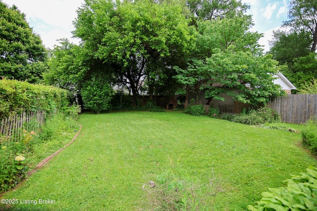 3521 Warner Ave, Louisville, KY 40207 - view of yard