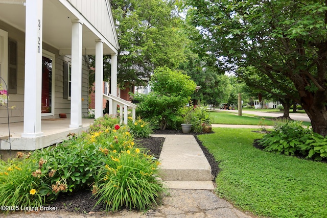 3521 Warner Ave, Louisville, KY 40207 - view of grassy yard featuring covered porch