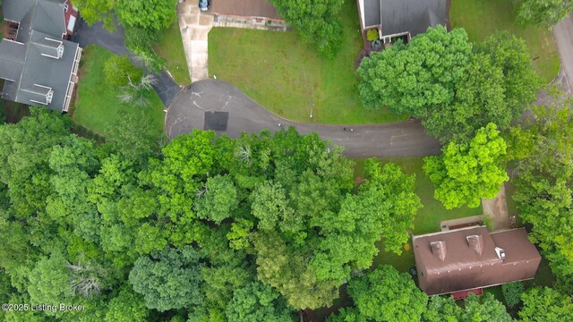 17 Bittersweet Pl, Brandenburg, KY 40108 - aerial view of property's location
