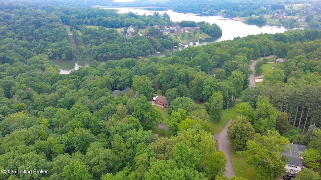 17 Bittersweet Pl, Brandenburg, KY 40108 - aerial view of a large body of water and a forest
