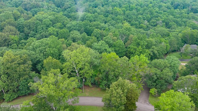 17 Bittersweet Pl, Brandenburg, KY 40108 - bird's eye view of a forest