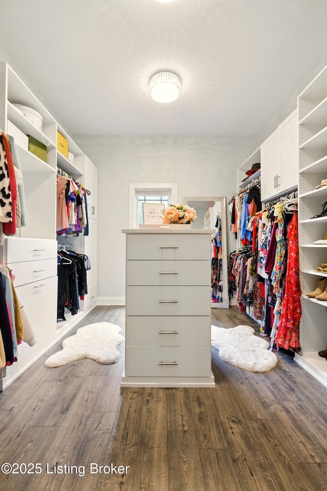 1014 Anchorage Woods Cir, Anchorage, KY 40223 - spacious closet featuring dark wood-style flooring