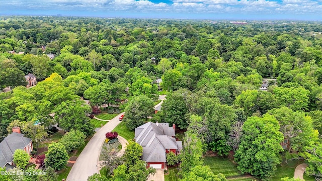 1014 Anchorage Woods Cir, Anchorage, KY 40223 - bird's eye view of a forest