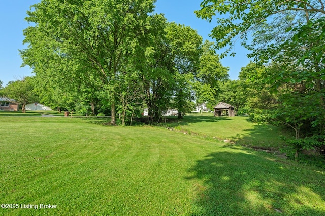 2327 Highgrove Rd, Coxs Creek, KY 40013 - view of green lawn