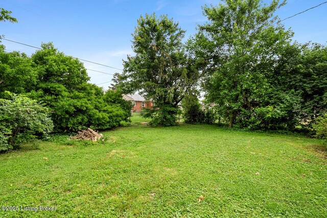 2603 Ballad Blvd, Jeffersontown, KY 40299 - view of green lawn