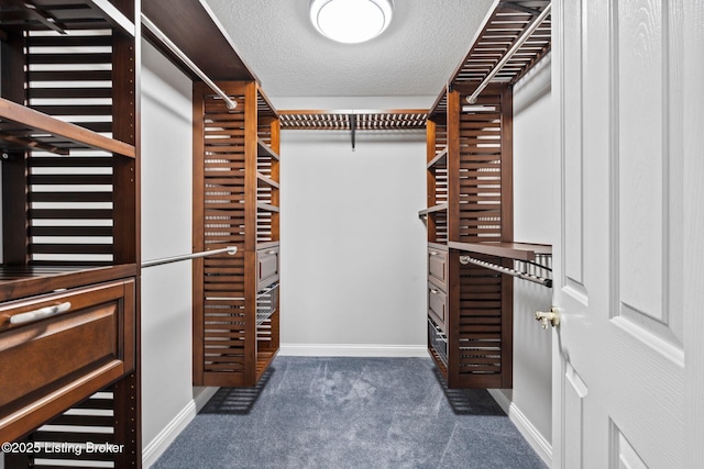 126 Deep Springs Dr, Bardstown, KY 40004 - walk in closet featuring dark carpet