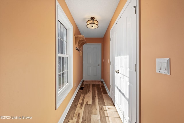 126 Deep Springs Dr, Bardstown, KY 40004 - doorway with light wood-type flooring and baseboards