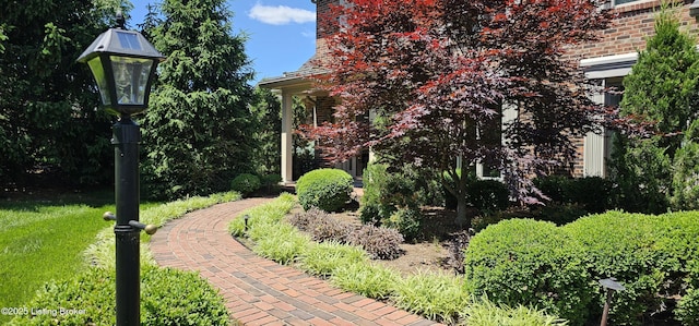 6714 John Hancock Pl, Louisville, KY 40059 - view of green lawn