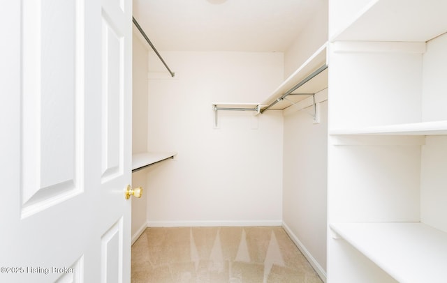 1508 Forest Park Rd, Louisville, KY 40223 - spacious closet featuring light carpet
