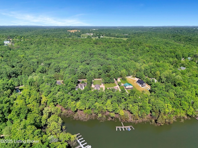 763 Lochober Rd, Leitchfield, KY 42754 - aerial overview of property's location featuring a forest and a large body of water