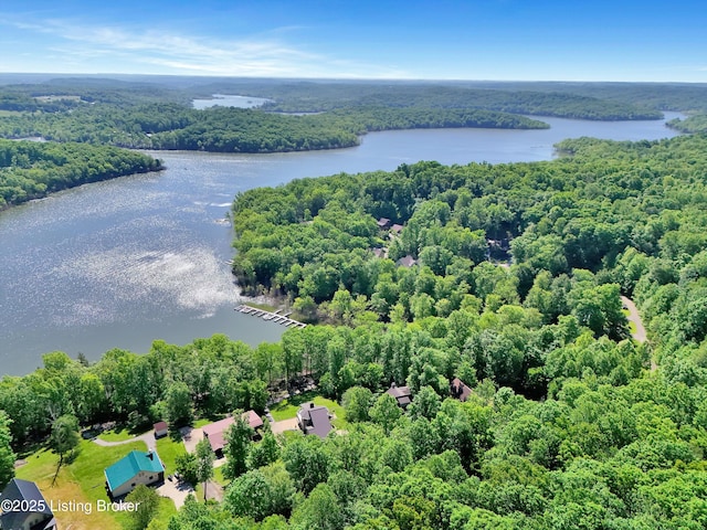 763 Lochober Rd, Leitchfield, KY 42754 - aerial view of a large body of water and a heavily wooded area