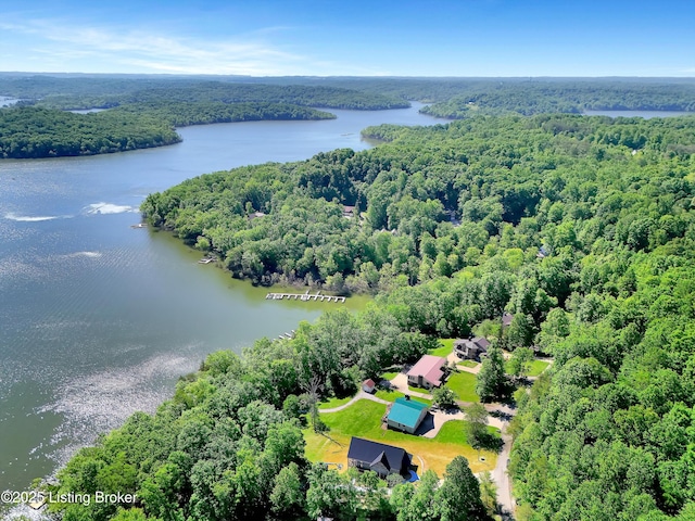 763 Lochober Rd, Leitchfield, KY 42754 - bird's eye view of a heavily wooded area and a nearby body of water