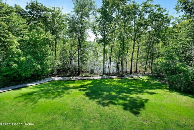 763 Lochober Rd, Leitchfield, KY 42754 - view of green lawn featuring a forest view