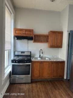 224 E Oak St, Louisville, KY 40203 - kitchen with stainless steel gas range oven, under cabinet range hood, a sink, and brown cabinets
