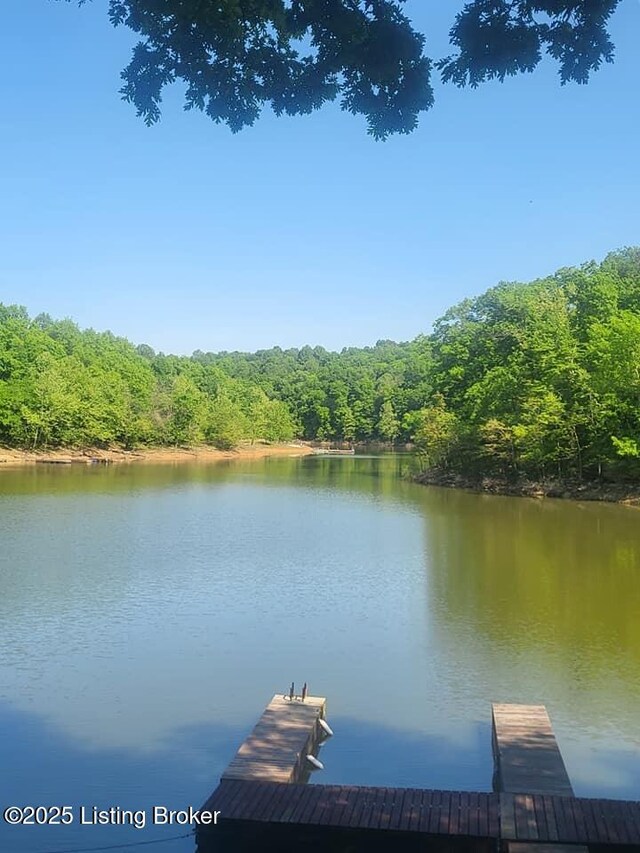 41 Hidden Valley Ln Unit B, Hudson, KY 40145 - dock area featuring a water view and a view of trees