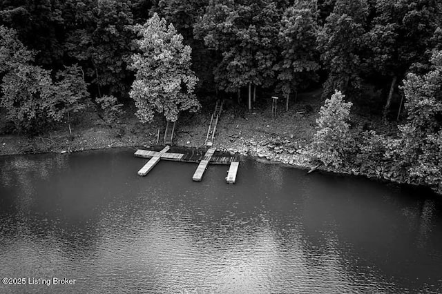 41 Hidden Valley Ln Unit B, Hudson, KY 40145 - water view with a dock