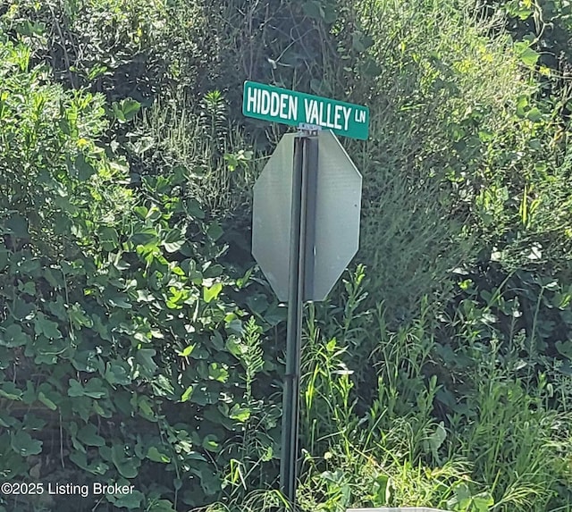 41 Hidden Valley Ln Unit B, Hudson, KY 40145 - exterior view
