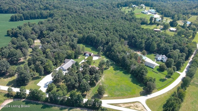 3297 E Gap Hill Rd, Cub Run, KY 42729 - bird's eye view of a heavily wooded area