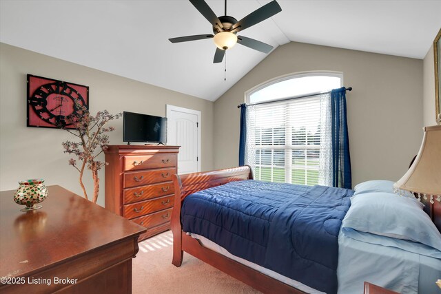 7902 Cultivator Ct, Louisville, KY 40291 - photo 24