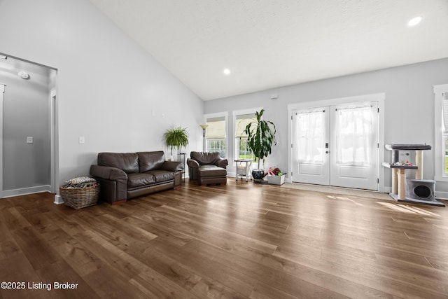 37 Lazy J Ln, Brandenburg, KY 40108 - living room featuring french doors, wood finished floors, high vaulted ceiling, and recessed lighting