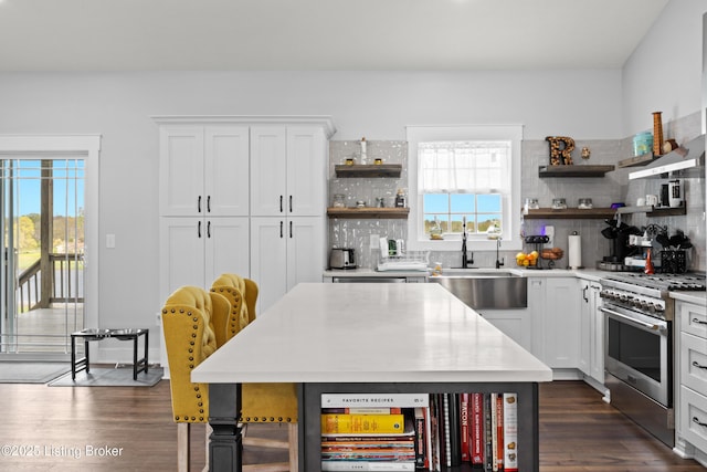 37 Lazy J Ln, Brandenburg, KY 40108 - kitchen featuring open shelves, a sink, high end stainless steel range, light countertops, and backsplash