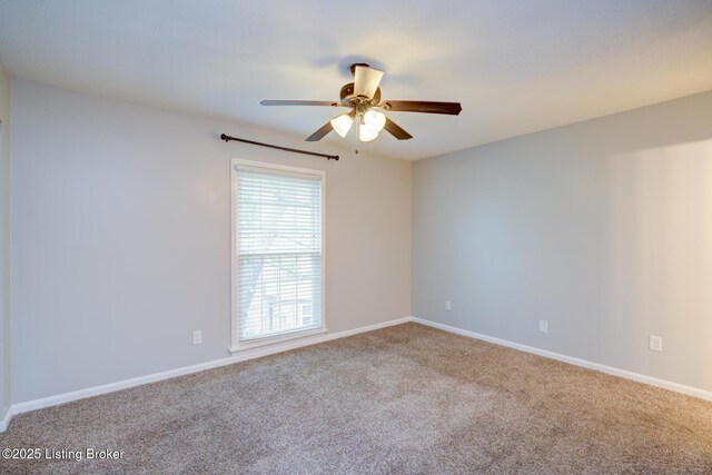 108 Highwood Dr, Louisville, KY 40206 - photo 12