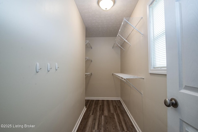 106 Hunter Ln, Brandenburg, KY 40108 - photo 43