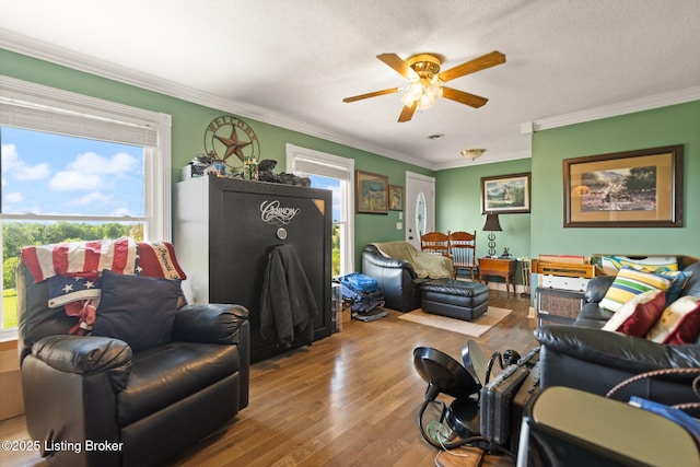 13429 Anneta Rd, Leitchfield, KY 42754 - living room featuring crown molding, healthy amount of natural light, a ceiling fan, and wood finished floors